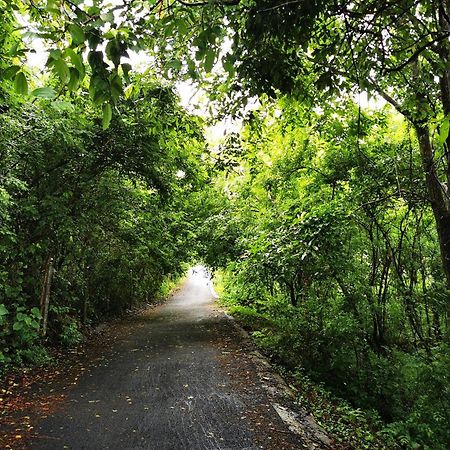 Misty Green Hills Parks & Resorts Kondotty 외부 사진