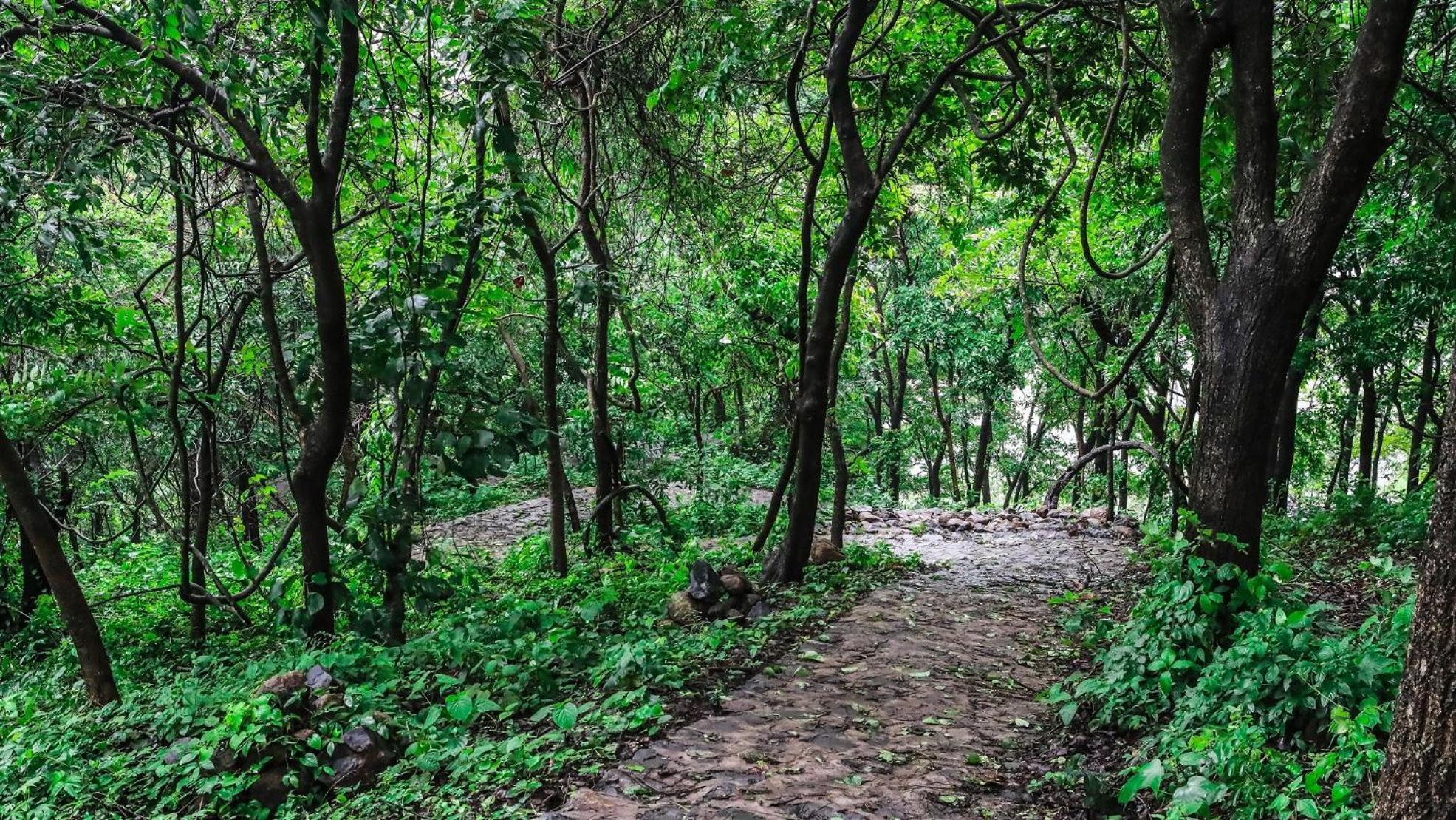 Misty Green Hills Parks & Resorts Kondotty 외부 사진