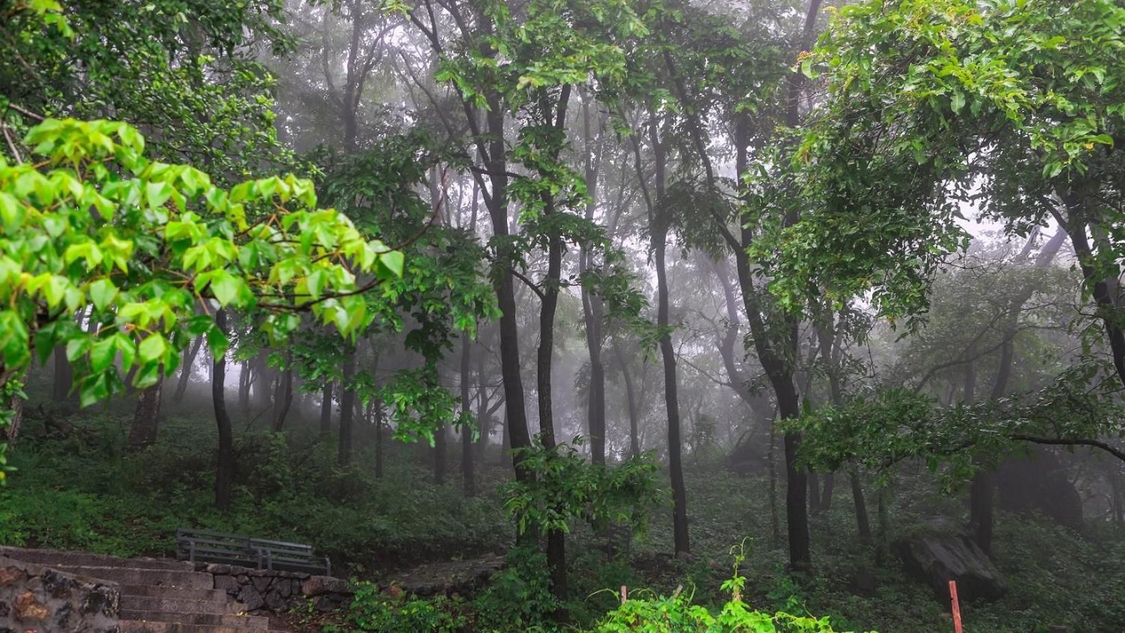 Misty Green Hills Parks & Resorts Kondotty 외부 사진
