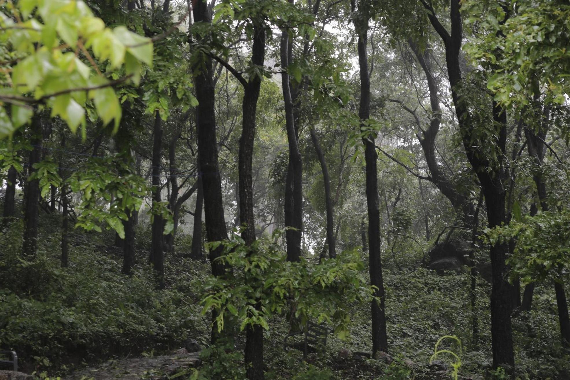 Misty Green Hills Parks & Resorts Kondotty 외부 사진