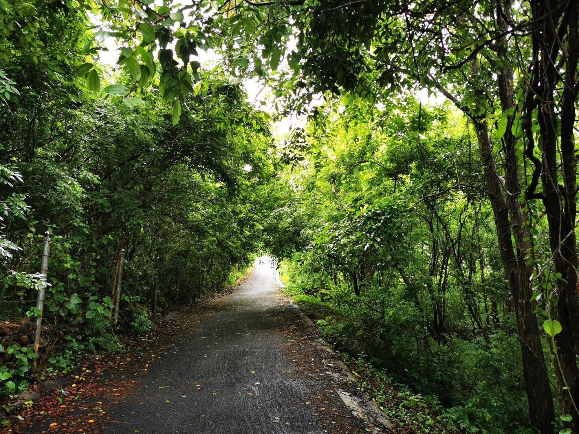 Misty Green Hills Parks & Resorts Kondotty 외부 사진
